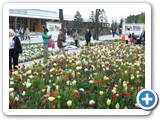 2012-04-20-floriade80